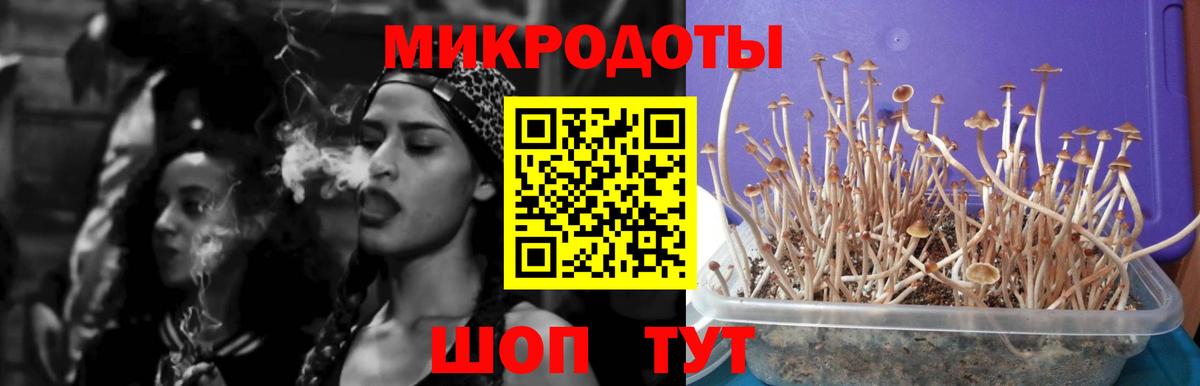 Галлюциногенные грибы Cubensis Кунгур
